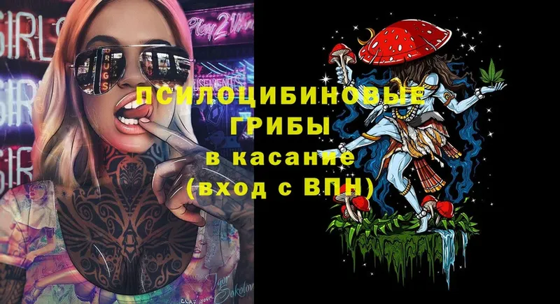 Галлюциногенные грибы Psilocybine cubensis  Верея 